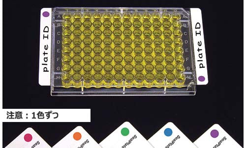 SureSeal ColorDot, Green BMF-SP-IDG-100