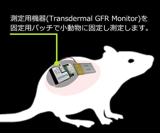 マウス/ラット用腎機能蛍光検出器 専用パッチ（大サイズ/ラット用） PTC-LG001 89-4933-19